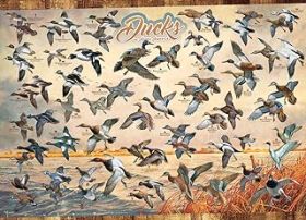 Cobble Hill Puzzle Ducks of North America